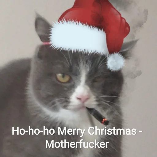 🎄 Стикер «KikoCAT» для Telegram