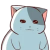 😒 Эмодзи «catkitelat» для Telegram