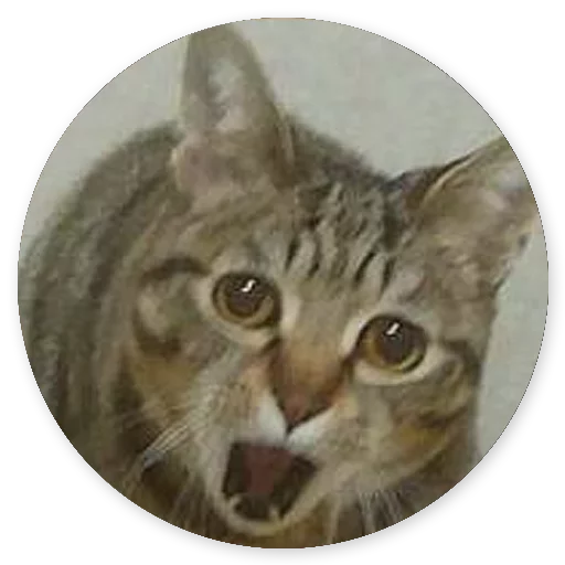 😁 Стикер «Котики и Кошечки 2» для Telegram