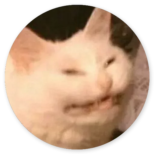 😛 Стикер «Котики и Кошечки 2» для Telegram