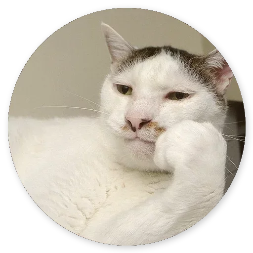☹️ Стикер «Котики и Кошечки 2» для Telegram