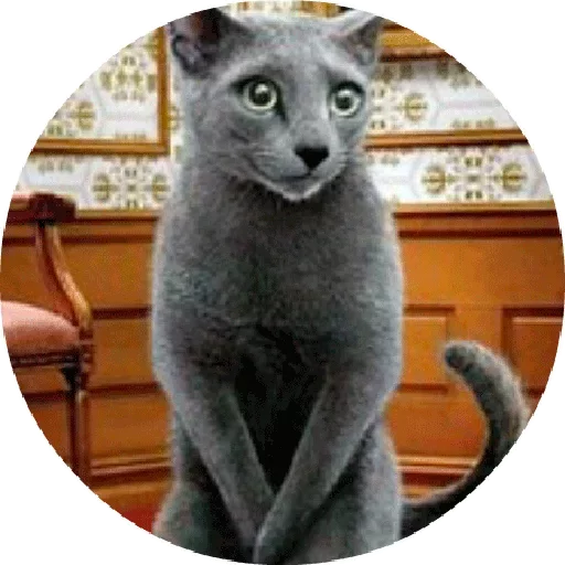 Стикерпак Котики и Кошечки для Telegram