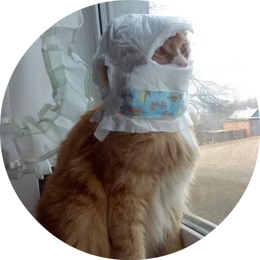 🐱 Стикер «Котики и Кошечки» для Telegram