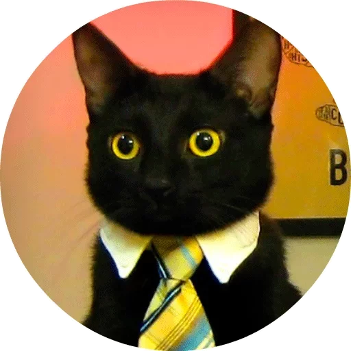 🐱 Стикер «Котики и Кошечки» для Telegram