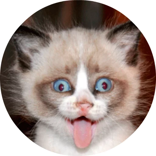 🐱 Стикер «Котики и Кошечки» для Telegram