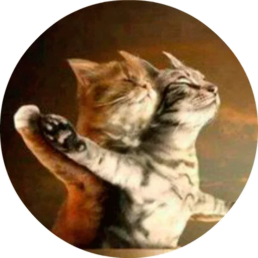 🐱 Стикер «Котики и Кошечки» для Telegram
