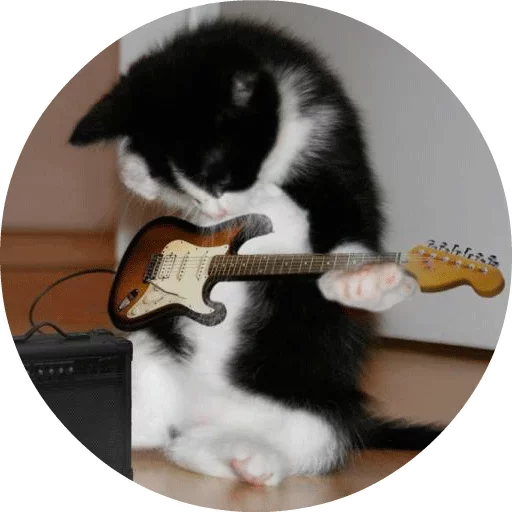 🐱 Стикер «Котики и Кошечки» для Telegram
