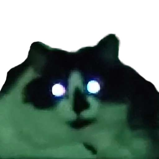 👽 Стикер «Catonios» для Telegram