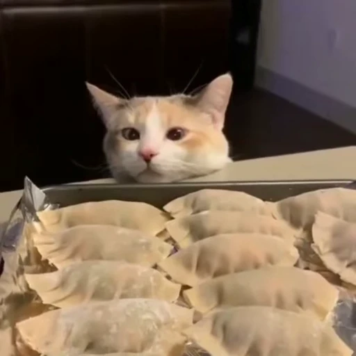 🧶 Стикер «Mood Cats» для Telegram