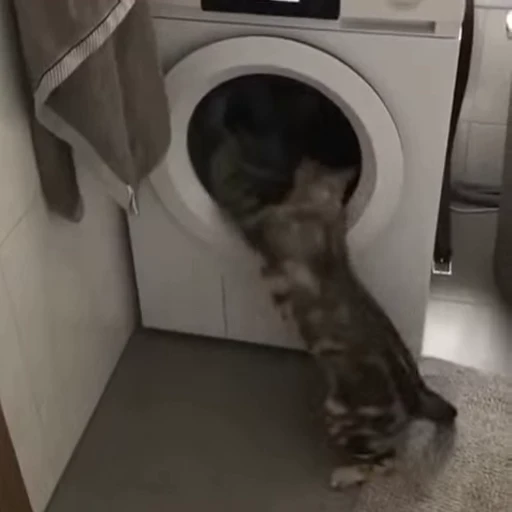 🧶 Стикер «Mood Cats» для Telegram