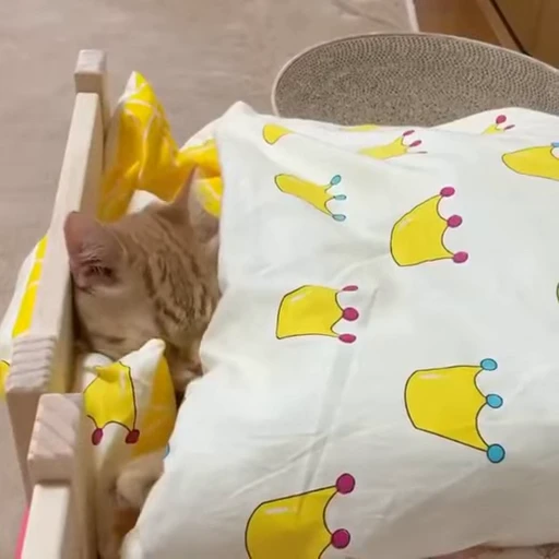 🧶 Стикер «Mood Cats» для Telegram