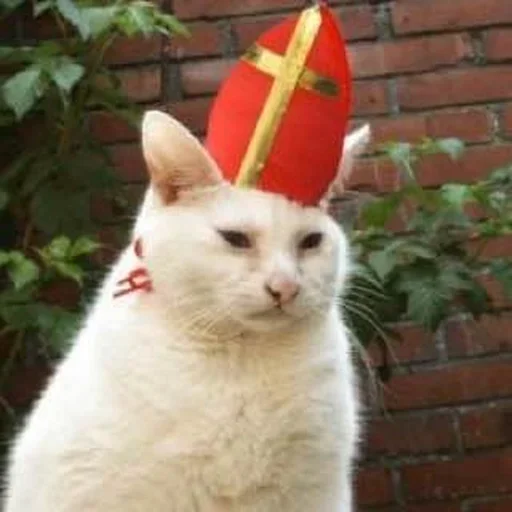 🤪 Стикер «Cat Moods» для Telegram