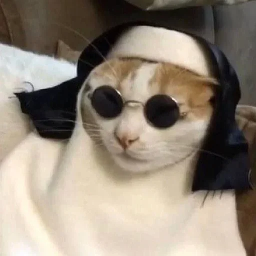 😕 Стикер «Cat Moods» для Telegram