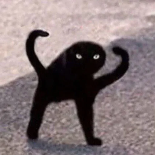😜 Стикер «Cat Moods» для Telegram