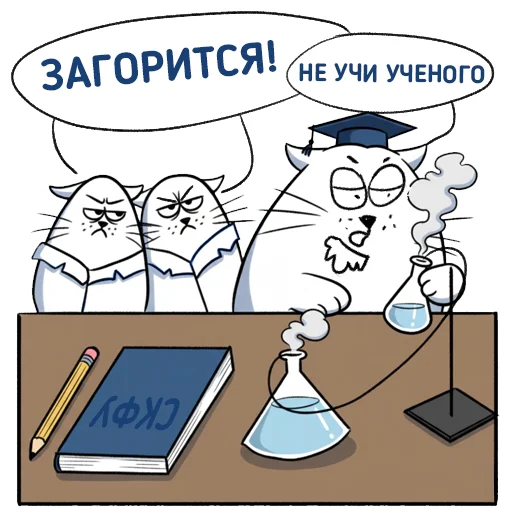 🥸 Стикер «Cat NCFU» для Telegram
