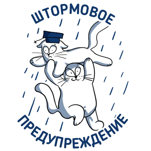 🌪 Стикер «Cat NCFU» для Telegram