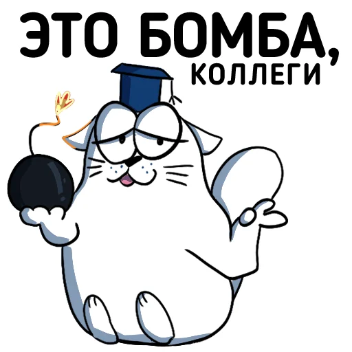 💣 Стикер «Cat NCFU» для Telegram