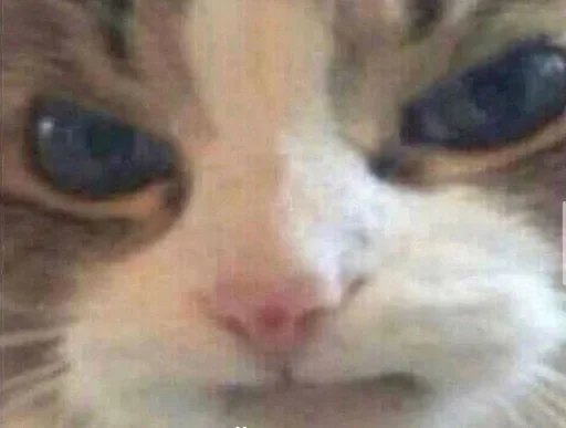 😈 Стикер «cat pack» для Telegram