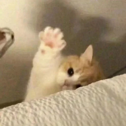 🙃 Стикер «cat pack» для Telegram