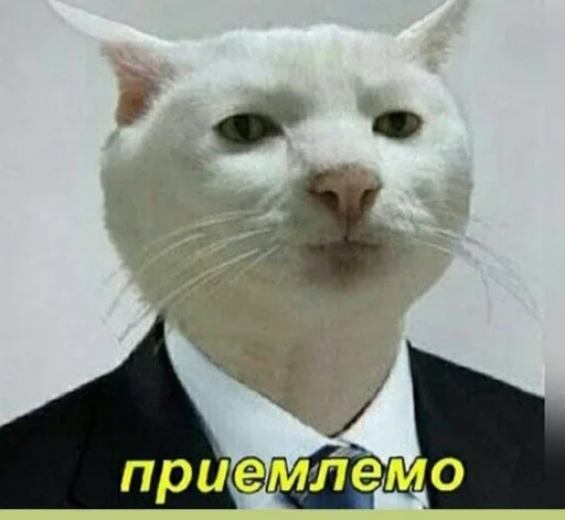 🌚 Стикер «cat pack» для Telegram