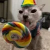 Стикер 26 Cats (2)