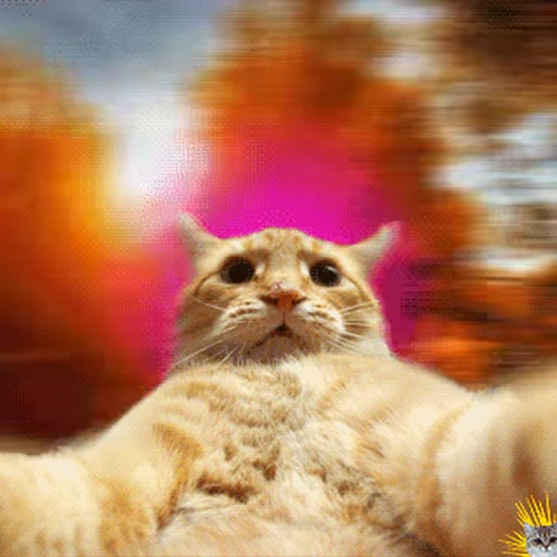 🐱 Стикер «Cats 4» для Telegram