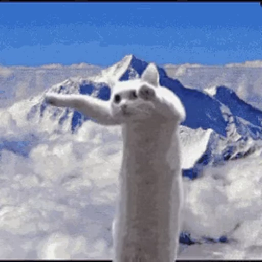 🐱 Стикер «Cats 4» для Telegram