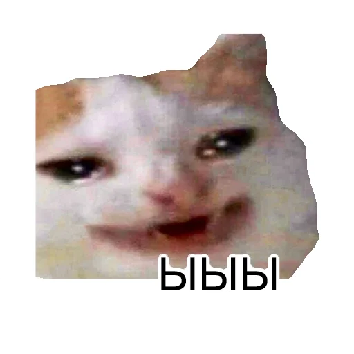 😀 Стикер «Cats meme» для Telegram