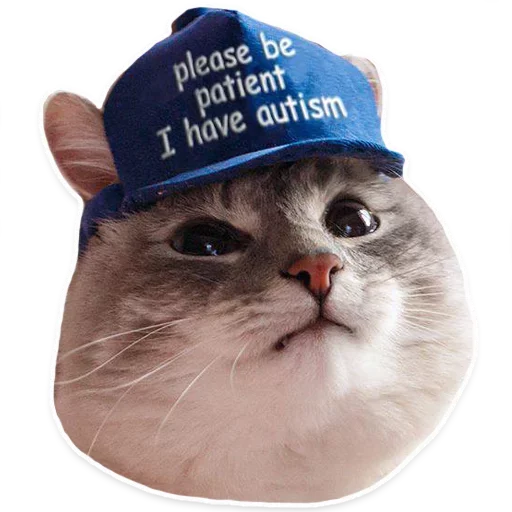 🥺 Стикер «Cats meme» для Telegram