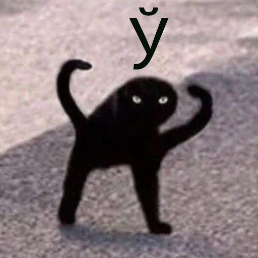 😼 Стикер «Cats meme» для Telegram