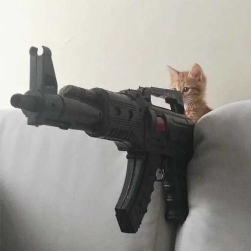 🔫 Стикер «Cats meme» для Telegram