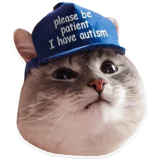 😱 Стикер «Cats meme» для Telegram
