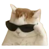 😎 Эмодзи «cats dogs» для Telegram