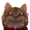 🥰 Эмодзи «cats dogs» для Telegram