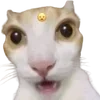 😦 Эмодзи «cats dogs» для Telegram