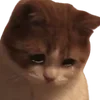 😢 Эмодзи «cats dogs» для Telegram