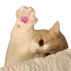💞 Эмодзи «cats dogs» для Telegram