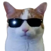 😎 Эмодзи «cats dogs» для Telegram