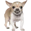 🤩 Эмодзи «cats dogs» для Telegram
