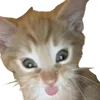 😱 Эмодзи «cats dogs» для Telegram