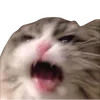 🤬 Эмодзи «cats dogs» для Telegram