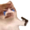 😭 Эмодзи «cats dogs» для Telegram