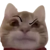🤨 Эмодзи «cats dogs» для Telegram