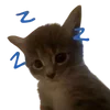 😴 Эмодзи «cats dogs» для Telegram