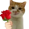 🌹 Эмодзи «cats dogs» для Telegram