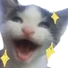 ✨ Эмодзи «cats dogs» для Telegram