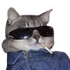 😎 Эмодзи «cats dogs» для Telegram