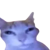 😨 Эмодзи «cats dogs» для Telegram