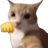 🤬 Эмодзи «cats dogs» для Telegram