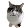 😏 Эмодзи «cats dogs» для Telegram